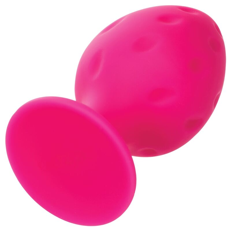 CALEXOTICS – ROSA FRECHE KAPPE