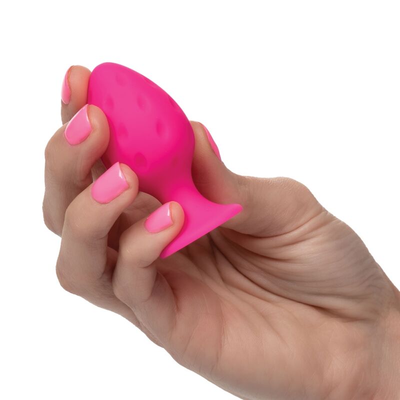 CALEXOTICS – ROSA FRECHE KAPPE
