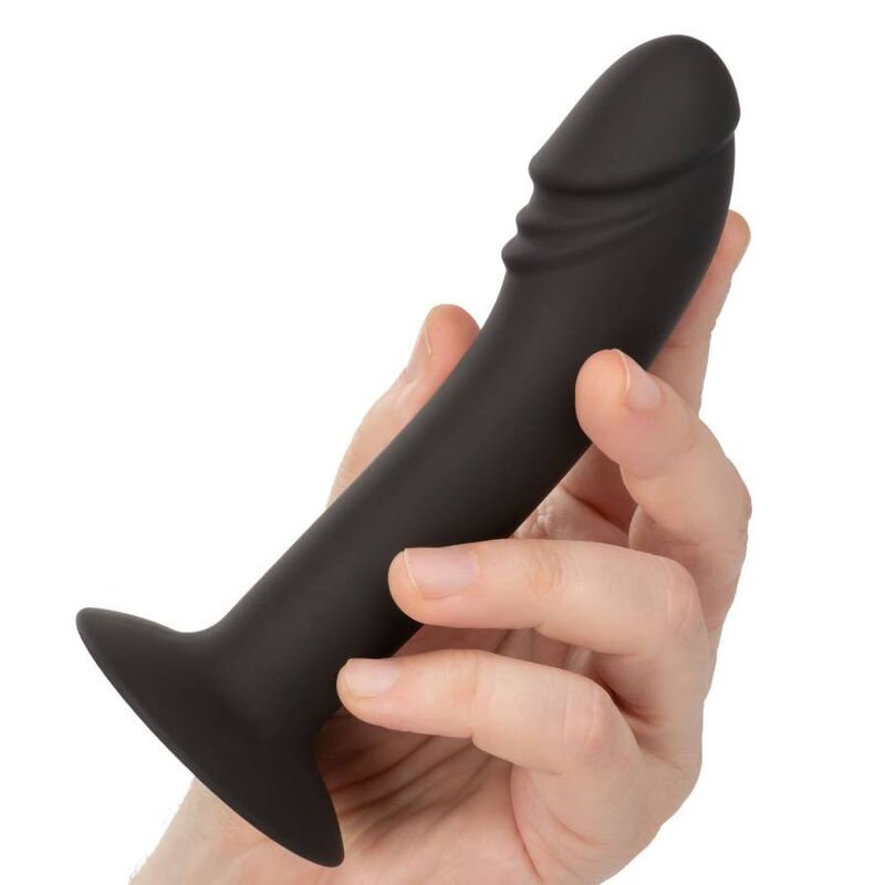 CALEXOTICS – GEBOGENER ANALSTUDIE?