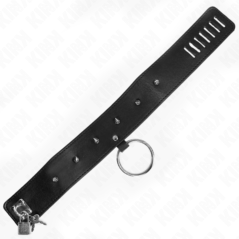KINK - HALSBAND 65 CM MIT LEINE MIT SILBERNEN NIETEN MODELL 2 VERSTELLBAR 36-43 CM X 5 CM